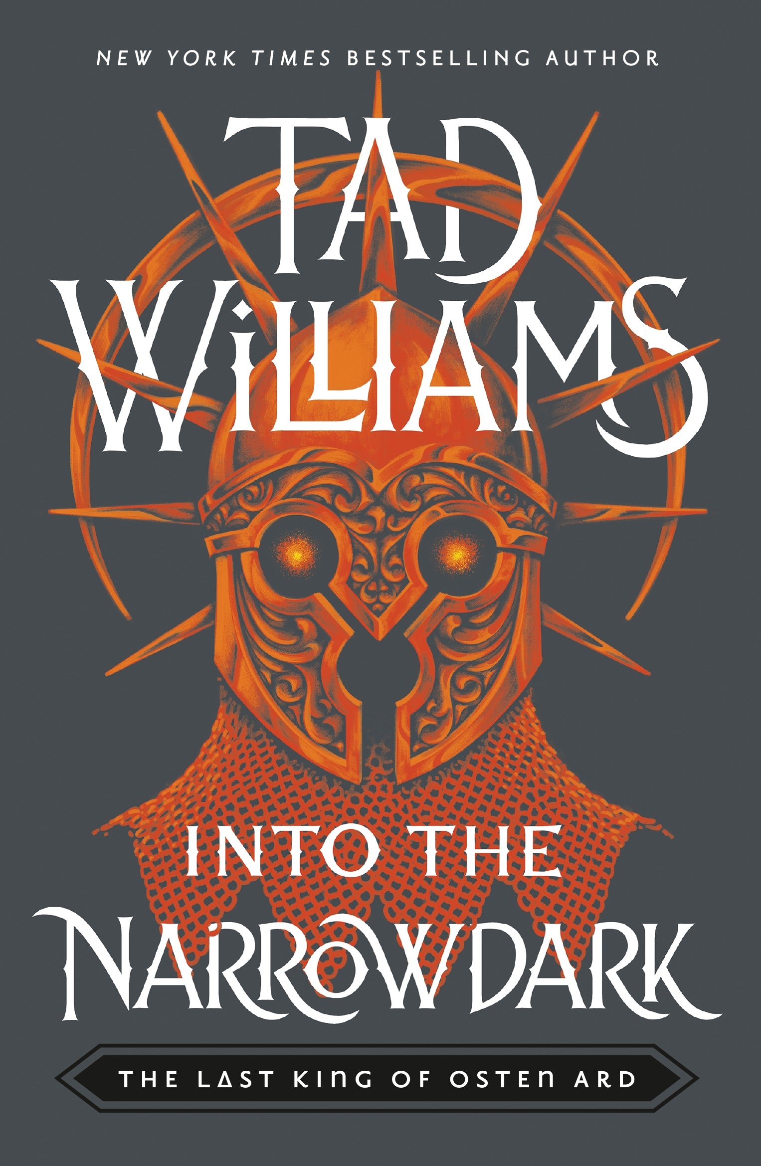 Into the Narrowdark by Tad Williams