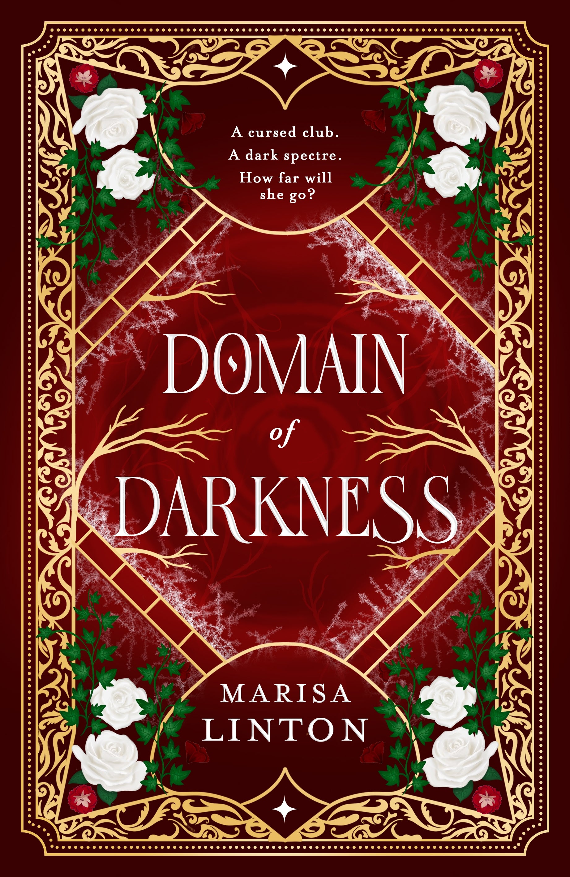 Domain of Darkness by Marisa Linton