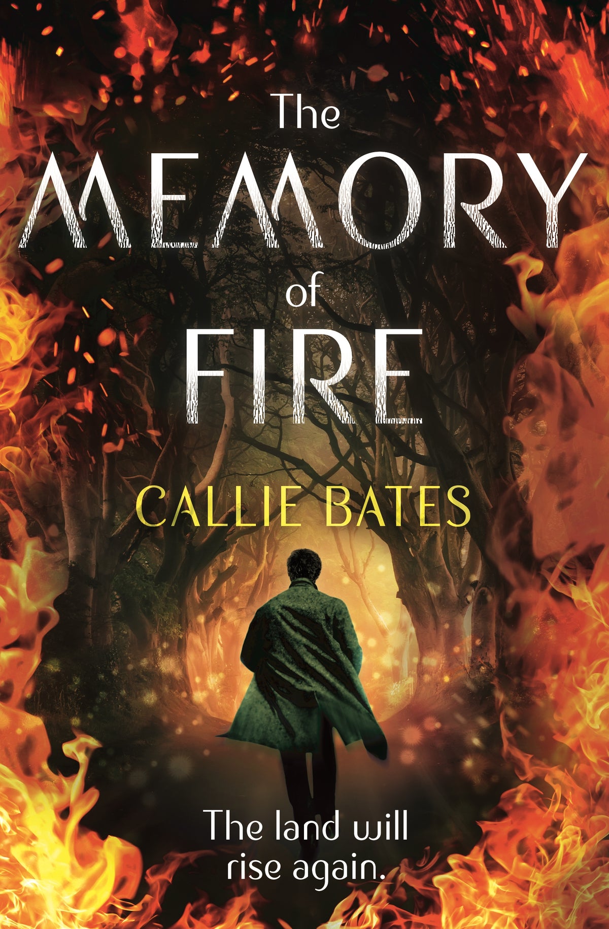 The Memory of Fire | Hodderscape
